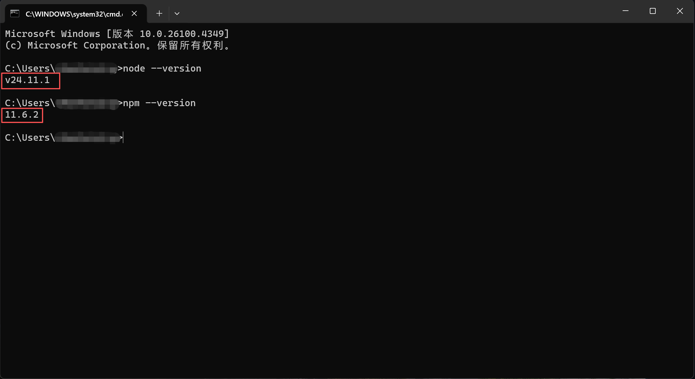 命令提示符中显示 Node.js 和 npm 版本号