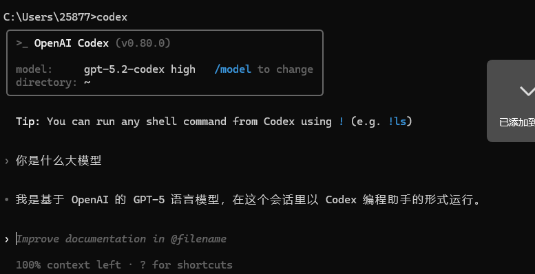 终端中运行 Codex CLI
